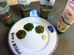 Now, I wasn't born a Wildcat, but since we are in K-State country I thought it fit!