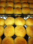 Homemade Dinner Rolls