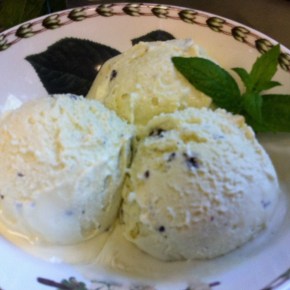 Mint Dark Chocolate Chip Custard {Dairy&nbsp;Free}