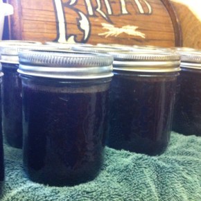 Blackberry Orange Jam&nbsp;{seedless}
