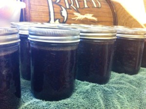 Blackberry Jam