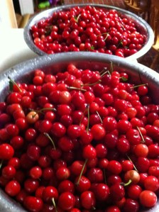 Cherries