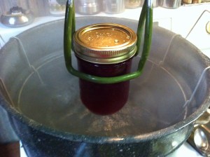 Process in water bath canner for 10 minutes if you live at an altitude at or below 1,000 feet {if you are at a 1,001-3,000 foot elevation: increase processing time by 5 minutes; 3,001-6,000 foot elevation: increase processing time by 10 minutes; 6,001-8,000 foot elevation: increase processing time by 15 minutes; 8,001-10,000 foot elevation: increase processing time by 20 minutes}. I live at an elevation just above 1,000 feet, so I had to process my jars for 15 minutes. 