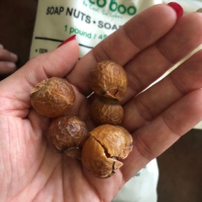 Soapberries as Laundry&nbsp;Detergent